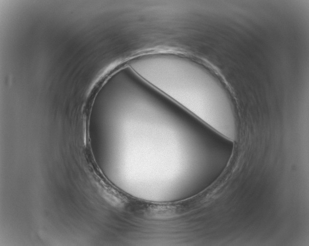 X0000080671171200612150754