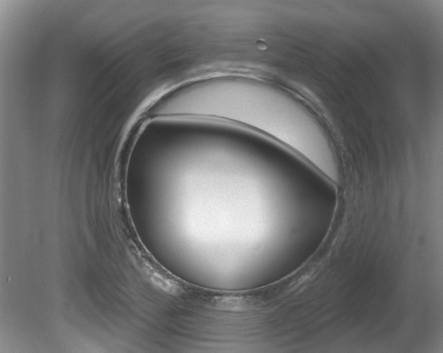 X0000080671172200612150754