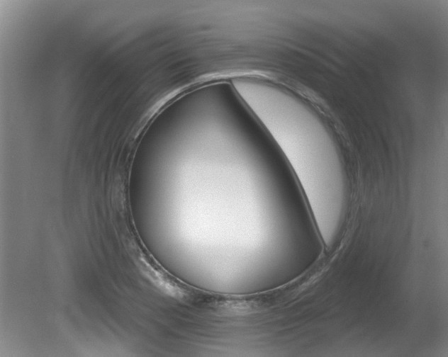 X0000080671177200612150753