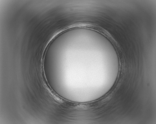 X0000080671178200612150753