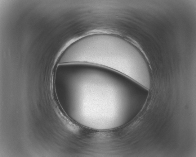 X0000080671179200612150753