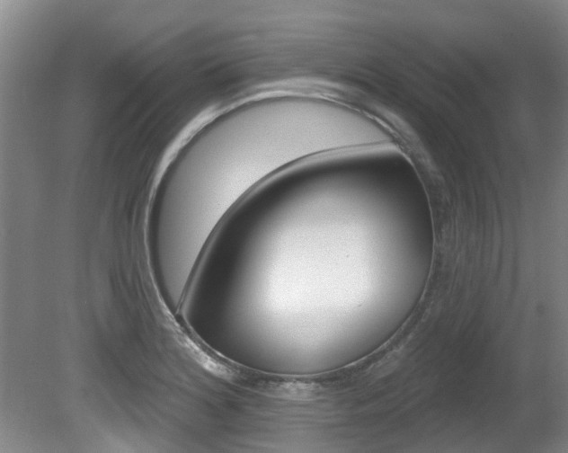 X0000080671180200612150753