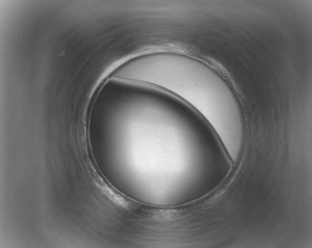 X0000080671184200612150753