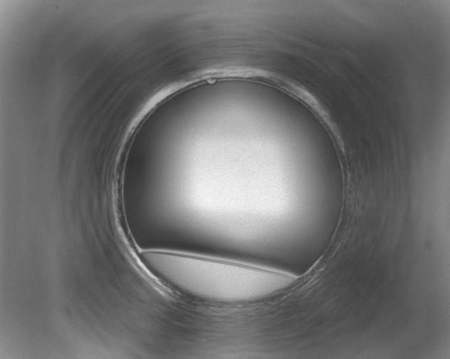 X0000080671187200612150753