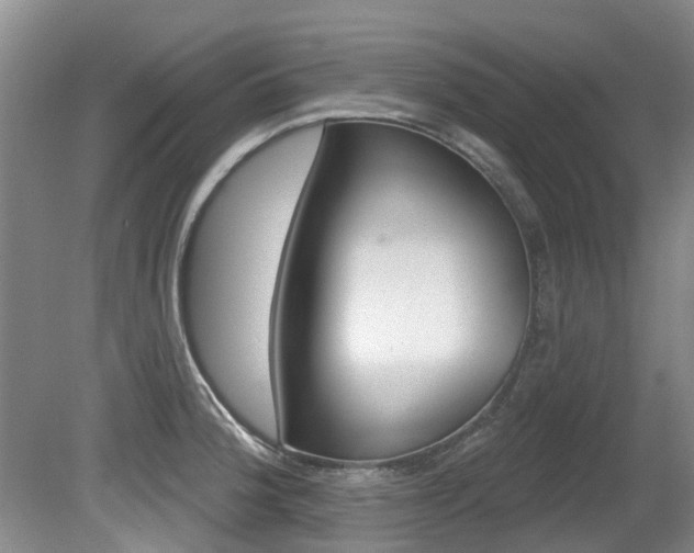 X0000080671188200612150753