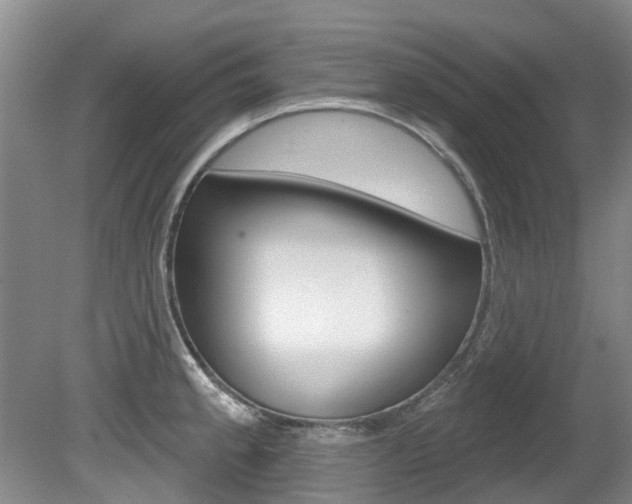 X0000080671189200612150753