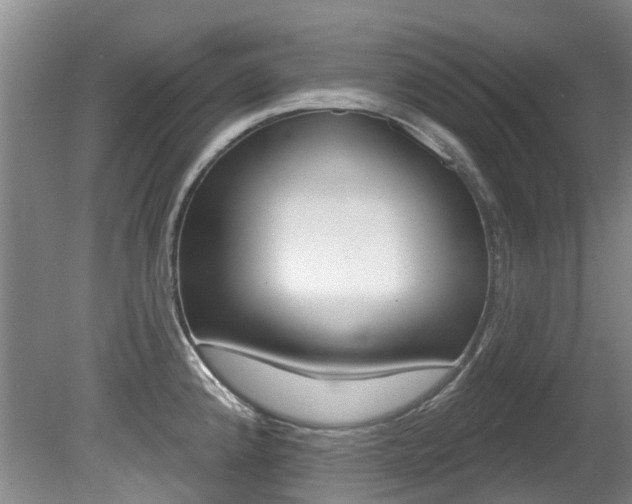 X0000080671192200612150753
