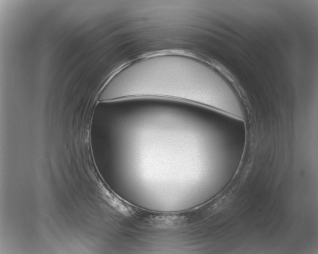 X0000080671193200612150753
