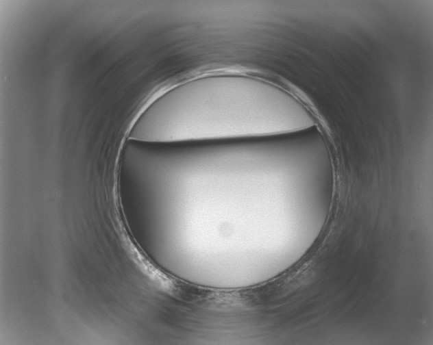 X0000080671194200612150753