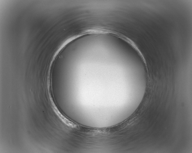 X0000080671195200612150753