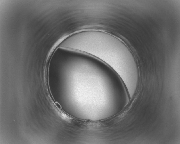 X0000080671196200612150753