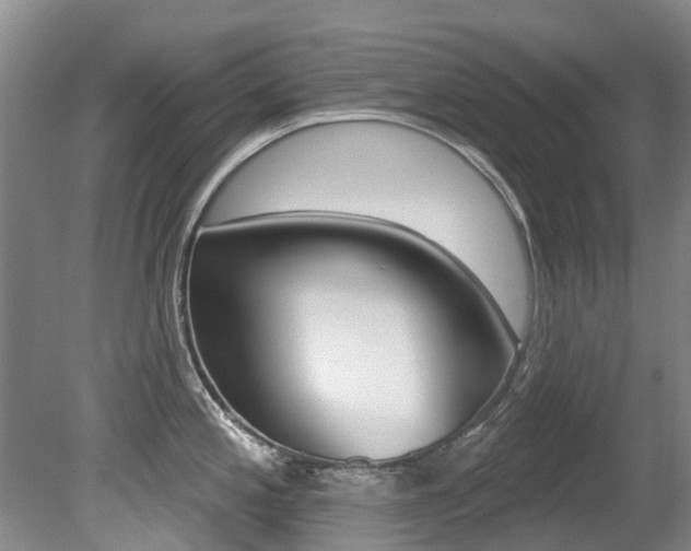 X0000080671197200612150753
