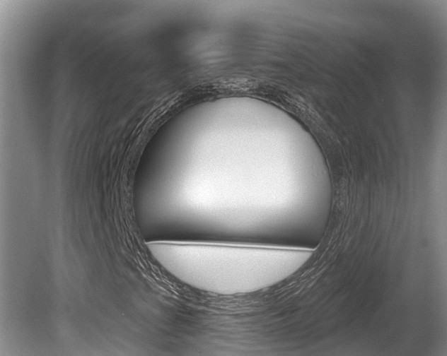 X0000080671201200612150752