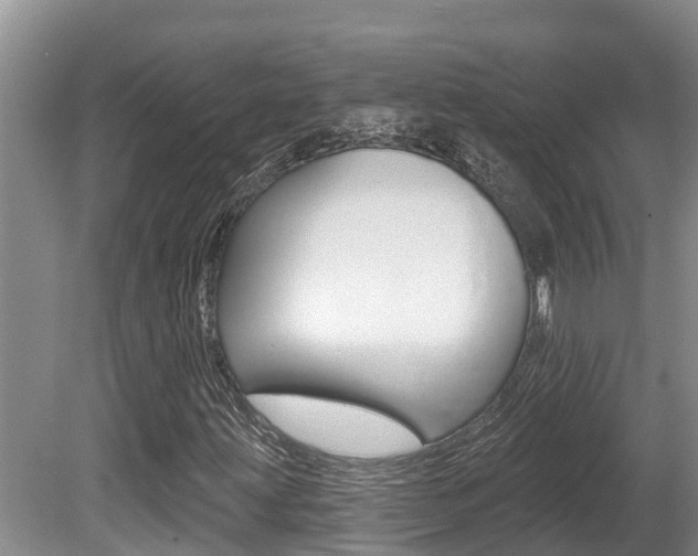 X0000080671203200612150752