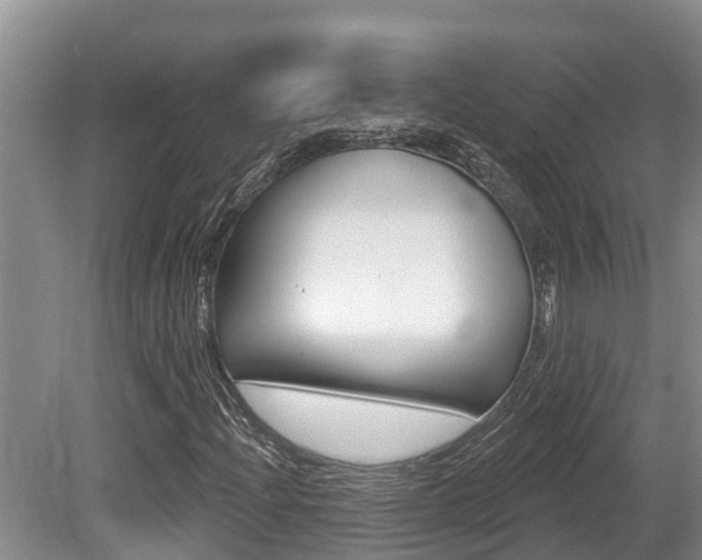 X0000080671204200612150752