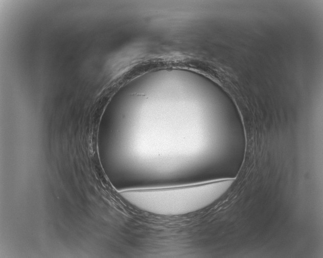 X0000080671205200612150752