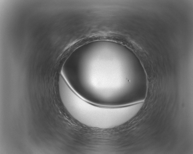 X0000080671206200612150752