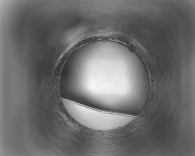 X0000080671208200612150752