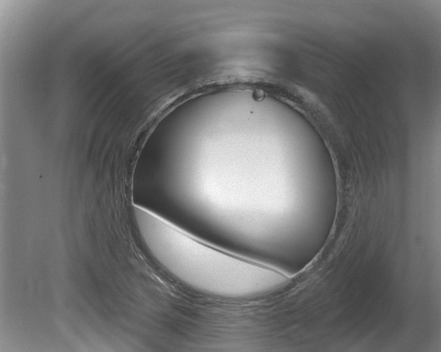 X0000080671217200612150752