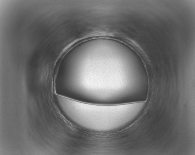 X0000080671220200612150753