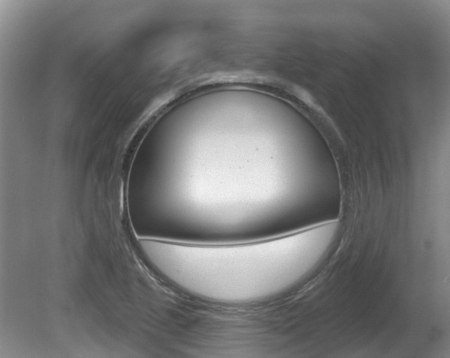 X0000080671221200612150753