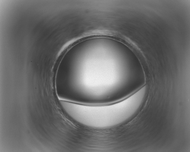 X0000080671222200612150753