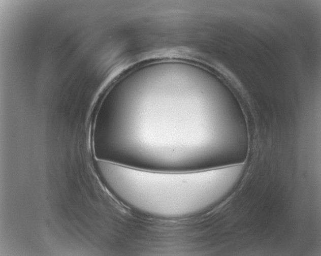 X0000080671224200612150753