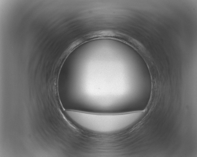 X0000080671225200612150753