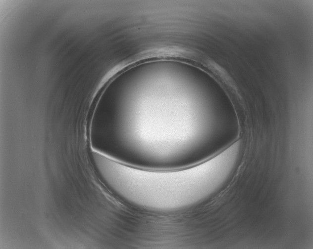 X0000080671226200612150753
