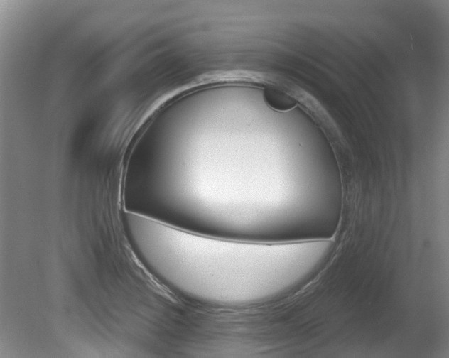 X0000080671228200612150753