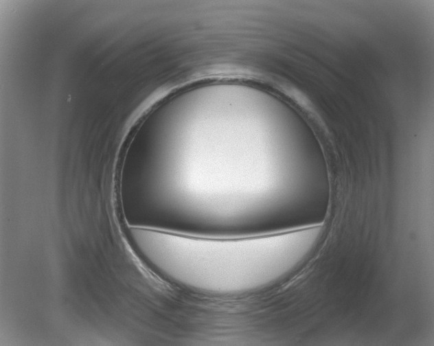 X0000080671229200612150753