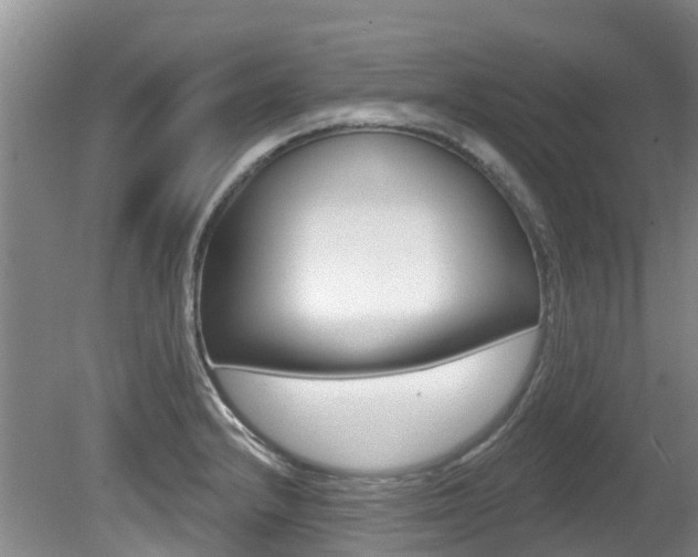 X0000080671232200612150753