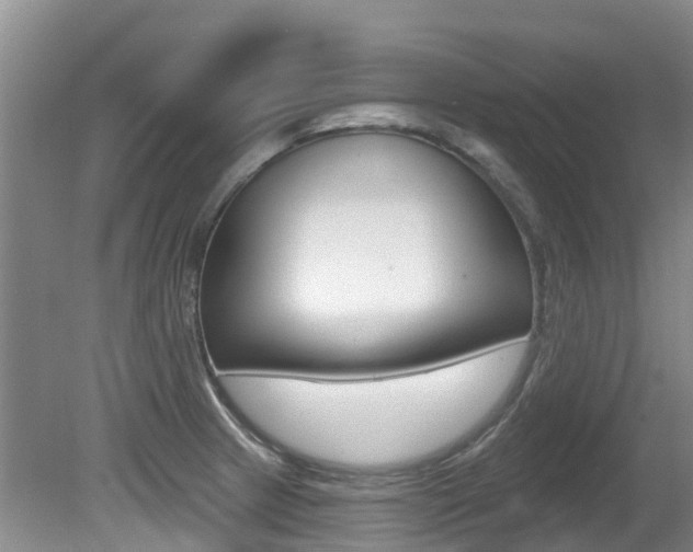 X0000080671233200612150753