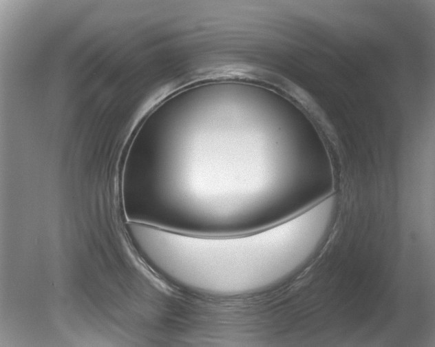 X0000080671234200612150753