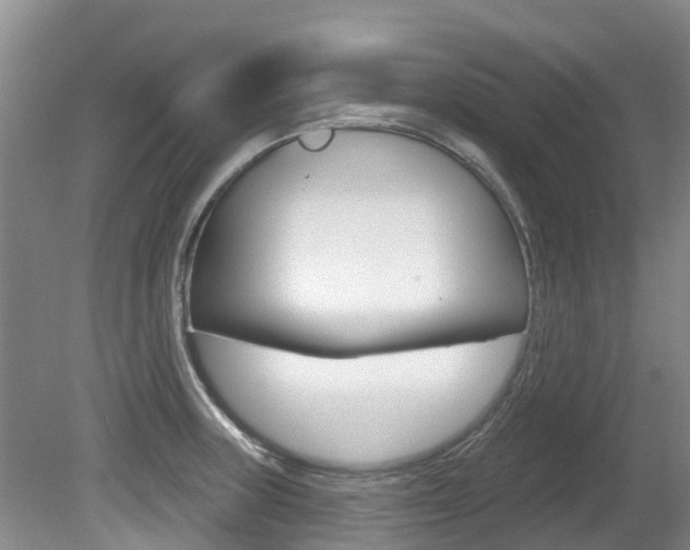 X0000080671235200612150753