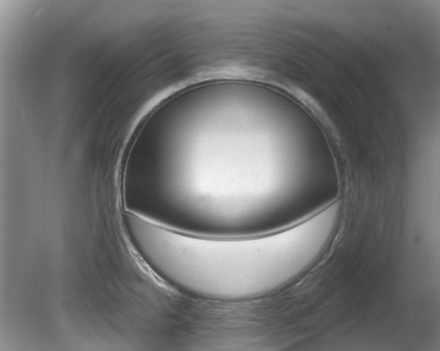 X0000080671238200612150753