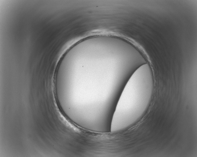 X0000080671239200612150753