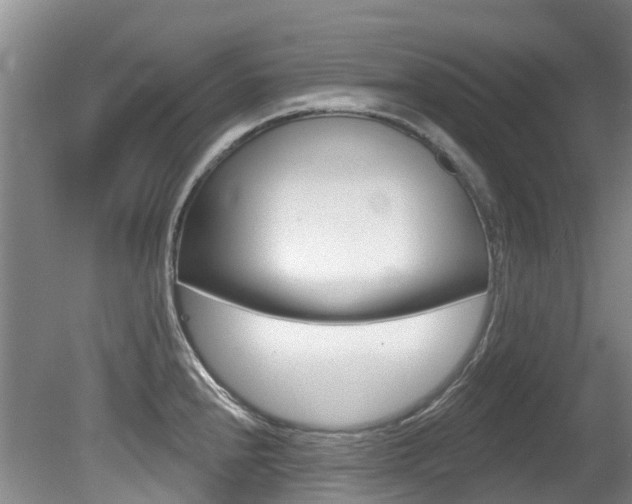 X0000080671240200612150753