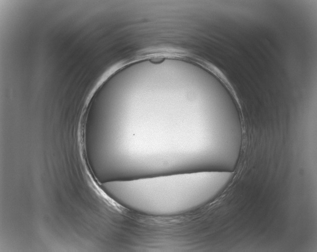 X0000080671243200612150753