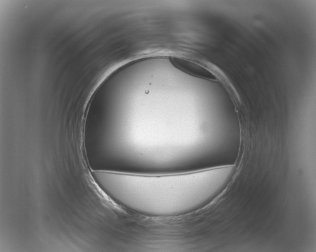 X0000080671244200612150753