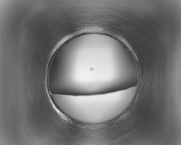 X0000080671245200612150753