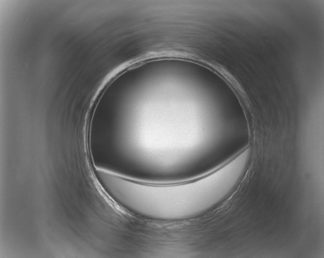 X0000080671246200612150753