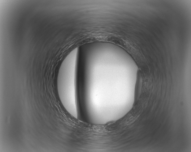 X0000080671249200612150752