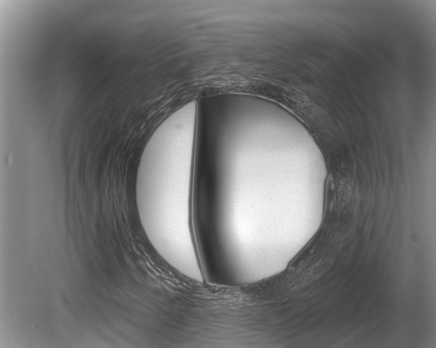 X0000080671250200612150752