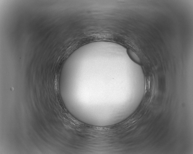 X0000080671251200612150752