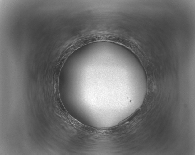 X0000080671253200612150752