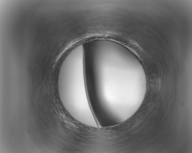 X0000080671256200612150752