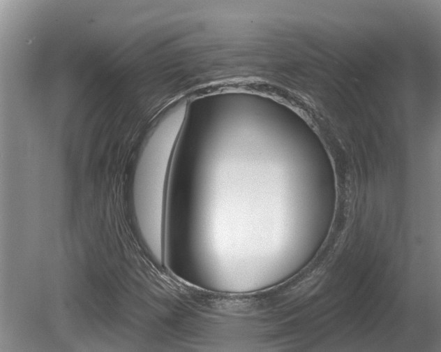 X0000080671257200612150752