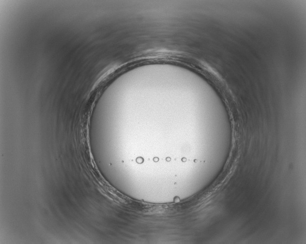 X0000080671259200612150752