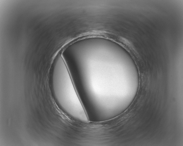 X0000080671260200612150752